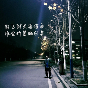 亚洲人成网站日本片
